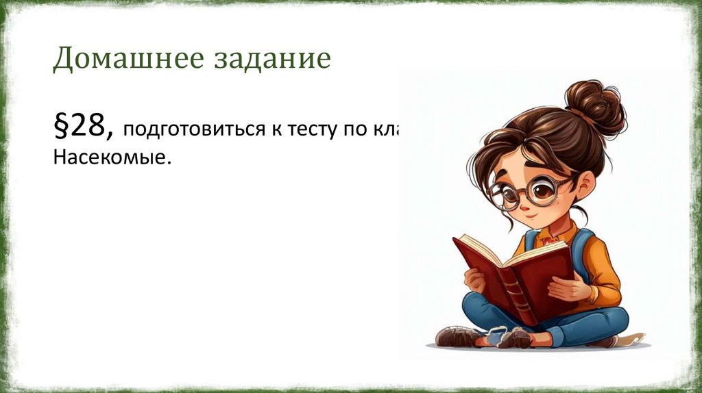 Домашнее задание