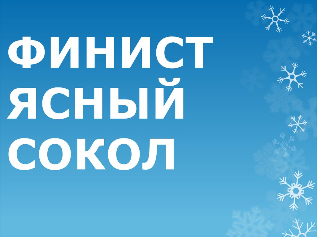 ФИНИСТ ЯСНЫЙ СОКОЛ