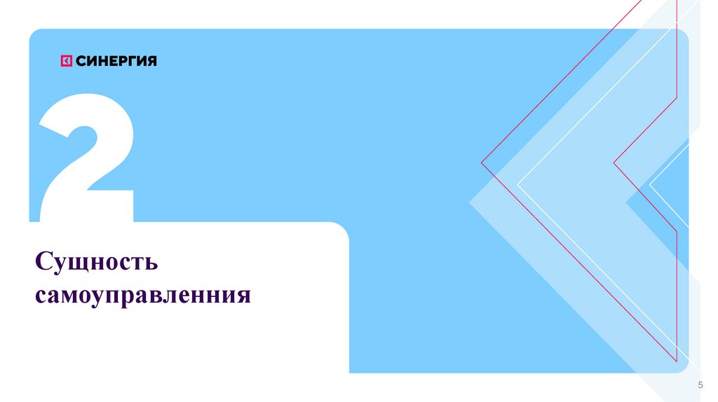 Сущность самоуправленния