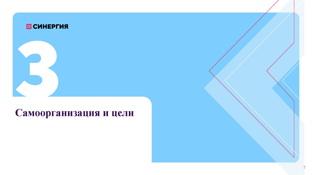 Самоорганизация и цели