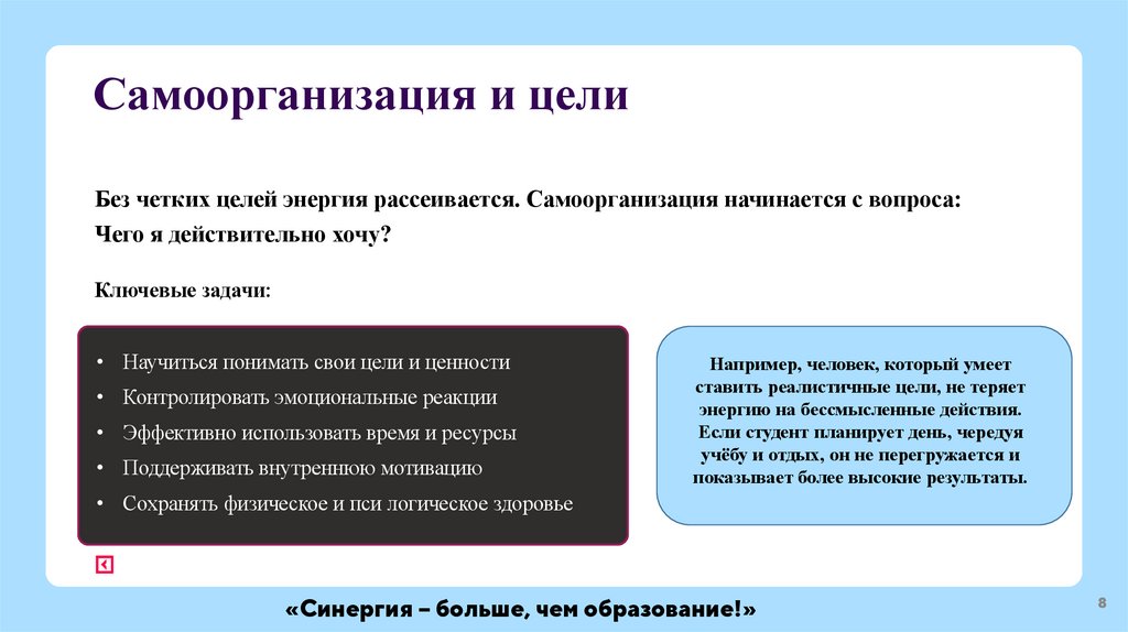 Самоорганизация и цели