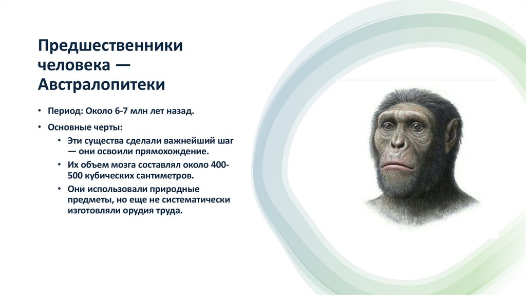 Предшественники человека — Австралопитеки