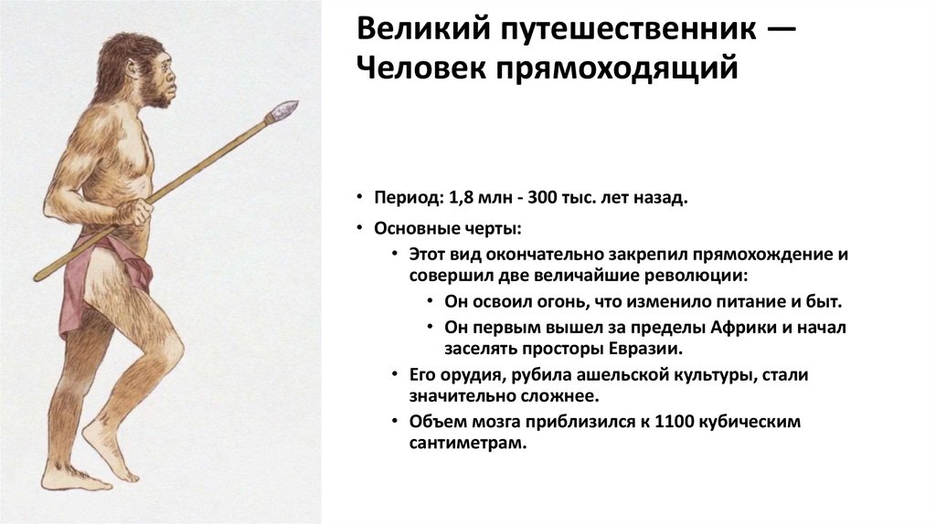Великий путешественник — Человек прямоходящий