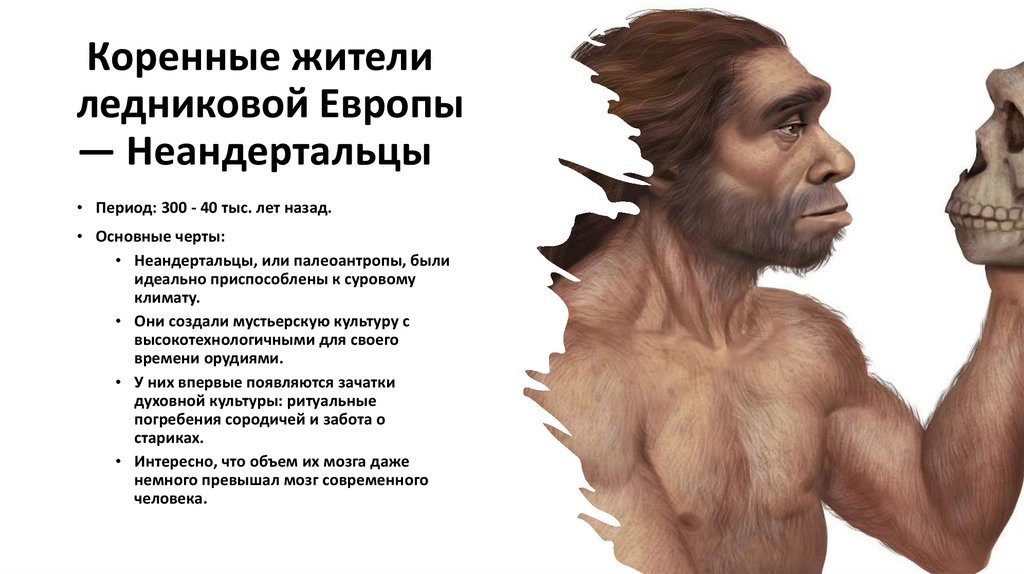  Коренные жители ледниковой Европы — Неандертальцы