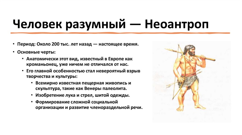 Человек разумный — Неоантроп