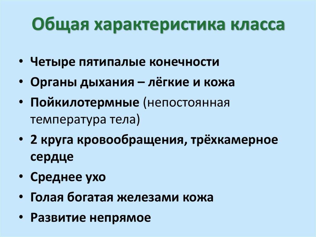 Общая характеристика класса