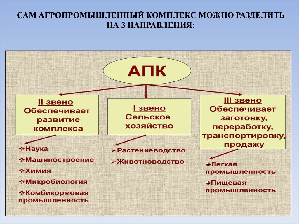 САМ АГРОПРОМЫШЛЕННЫЙ КОМПЛЕКС МОЖНО РАЗДЕЛИТЬ НА 3 НАПРАВЛЕНИЯ: