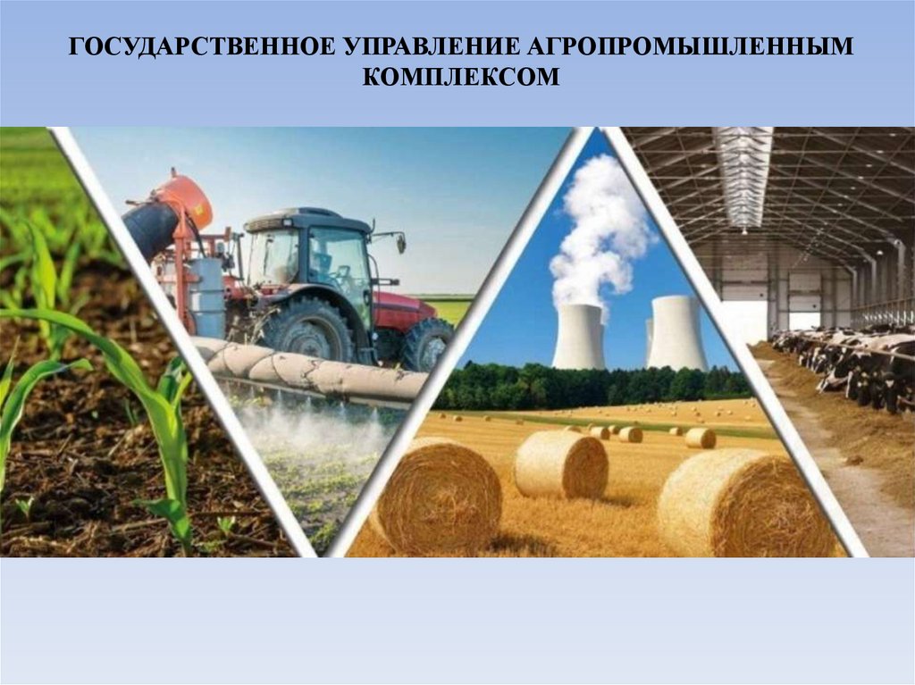 ГОСУДАРСТВЕННОЕ УПРАВЛЕНИЕ АГРОПРОМЫШЛЕННЫМ КОМПЛЕКСОМ