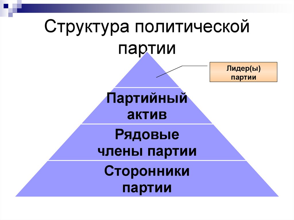 Структура политической партии