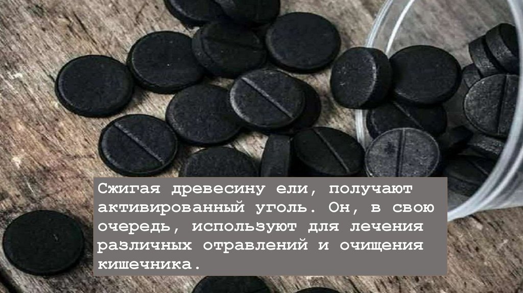 Сжигая древесину ели, получают активированный уголь. Он, в свою очередь, используют для лечения различных отравлений и очищения