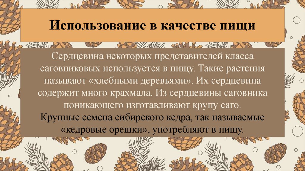 Использование в качестве пищи