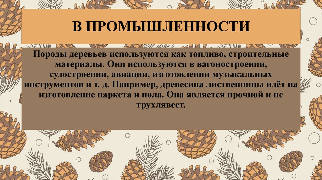 В ПРОМЫШЛЕННОСТИ
