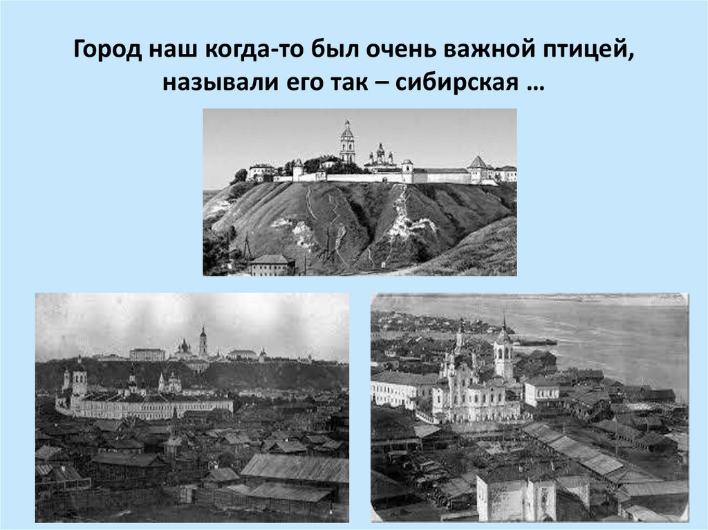Город наш когда-то был очень важной птицей, называли его так – сибирская …