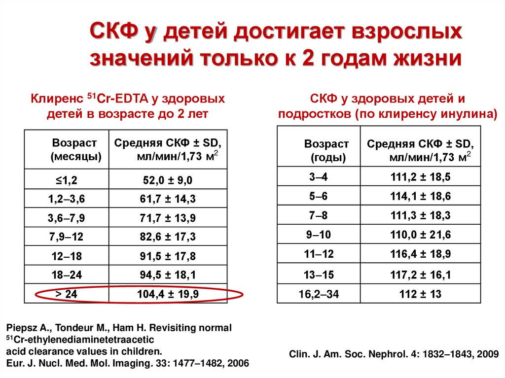 СКФ у детей достигает взрослых значений только к 2 годам жизни