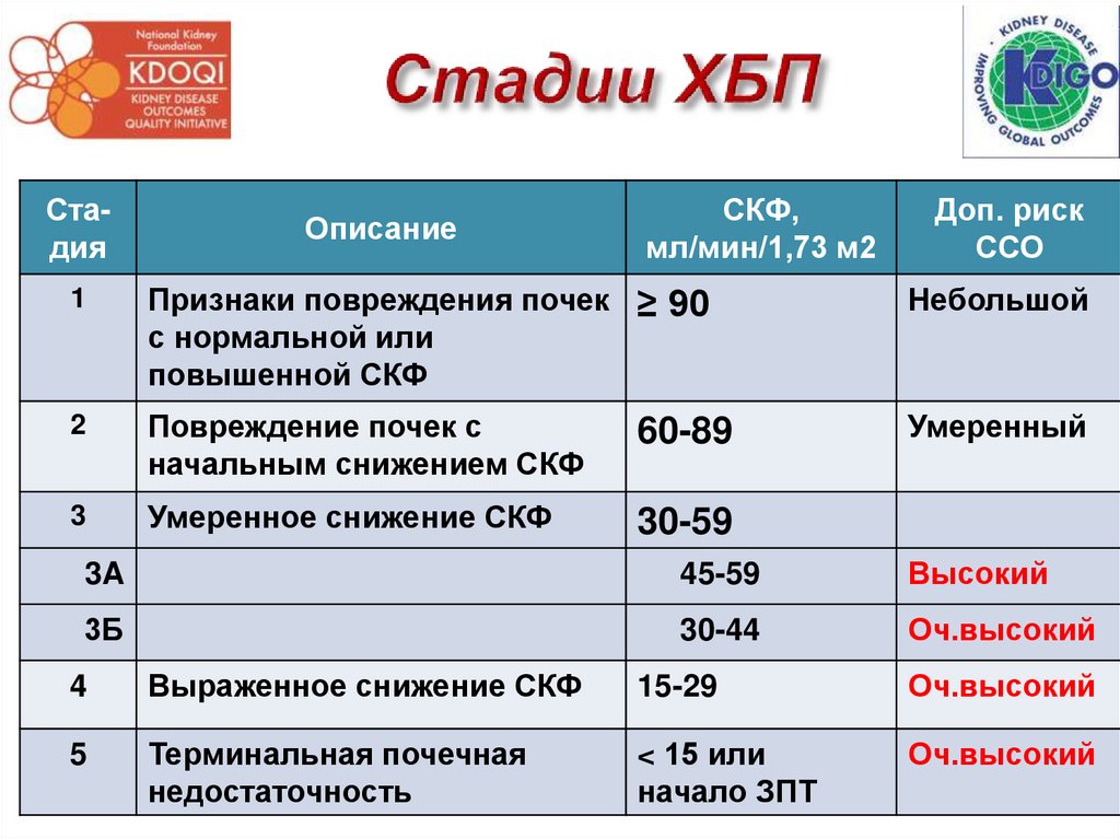 Стадии ХБП