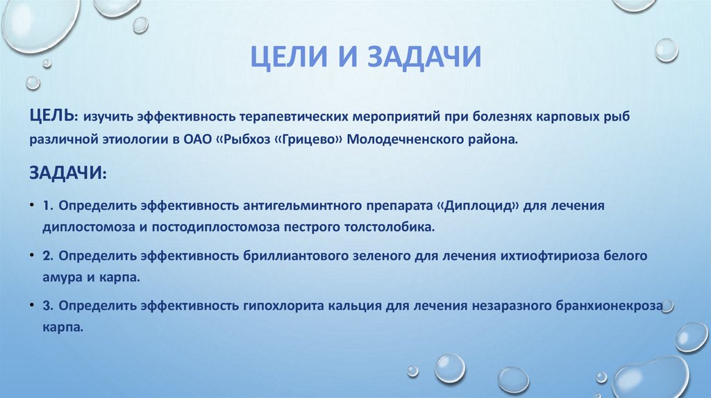 Цели и задачи