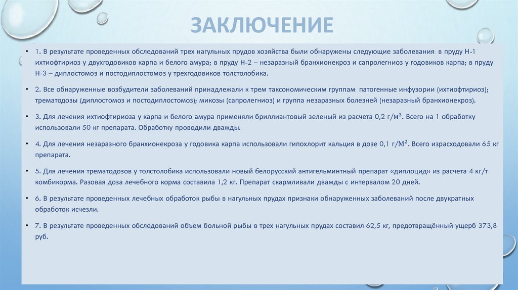 ЗАКЛЮЧЕНИЕ