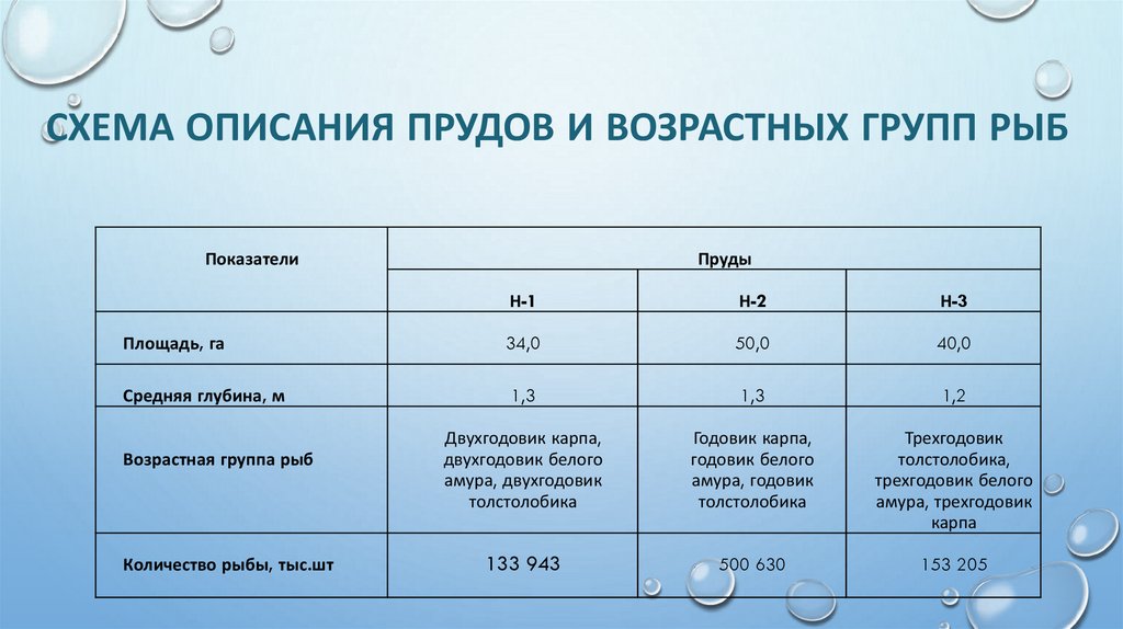 СХЕМА ОПИСАНИЯ ПРУДОВ И ВОЗРАСТНЫХ ГРУПП РЫБ
