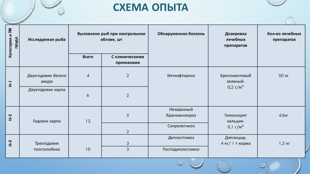 СХЕМА ОПЫТА