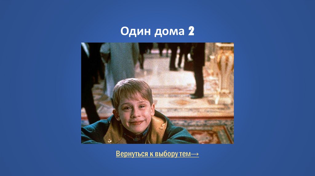 Один дома 2
