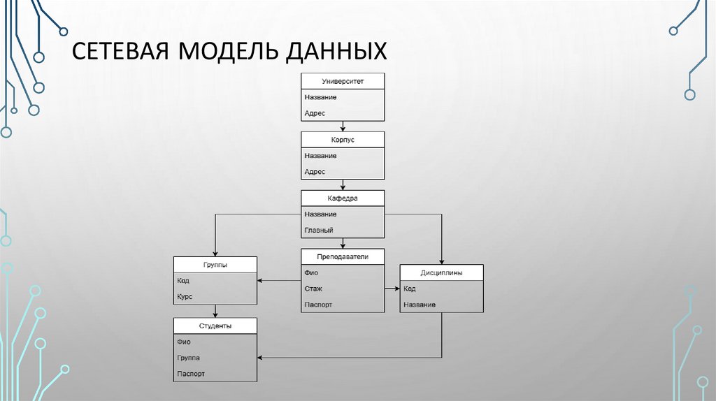 Сетевая модель данных