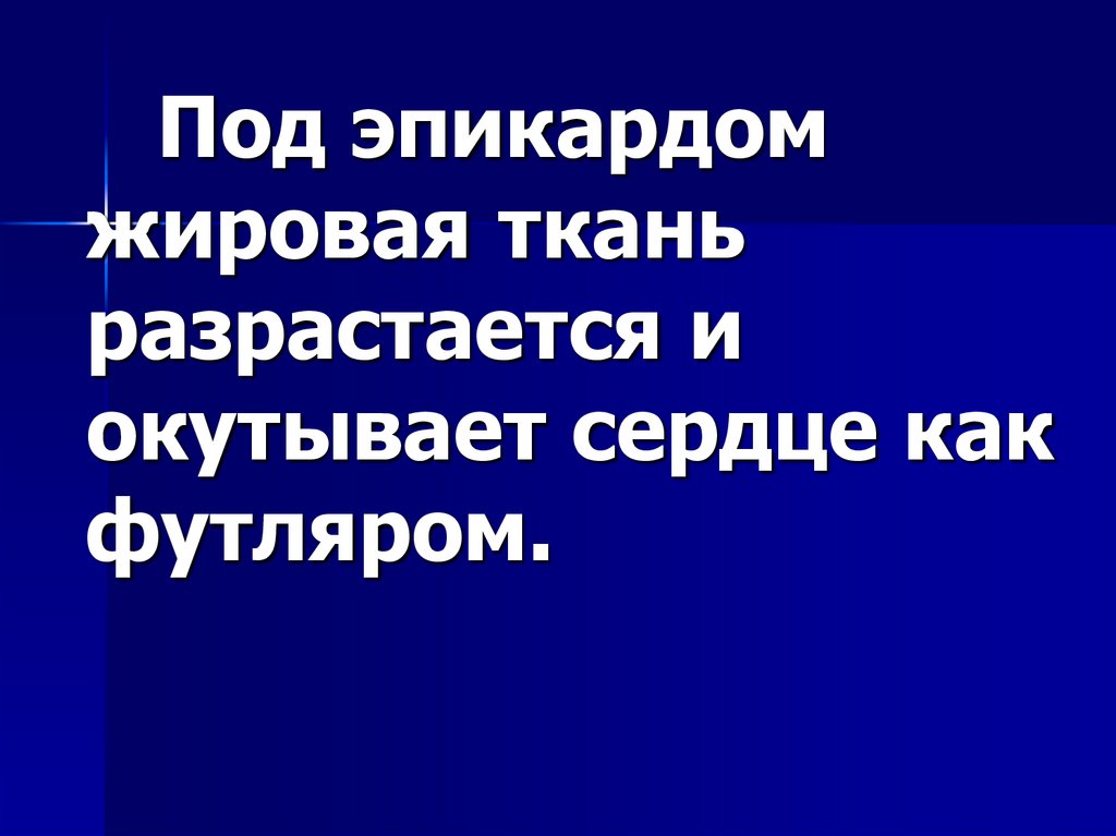 Стромально-сосудистые жировые дистрофии (липидозы)