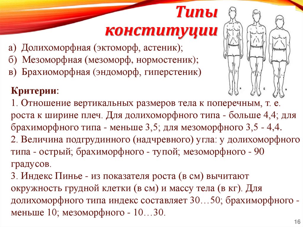 Типы конституции