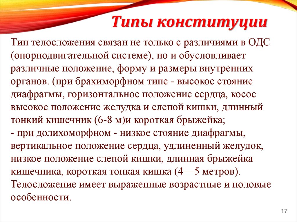 Типы конституции