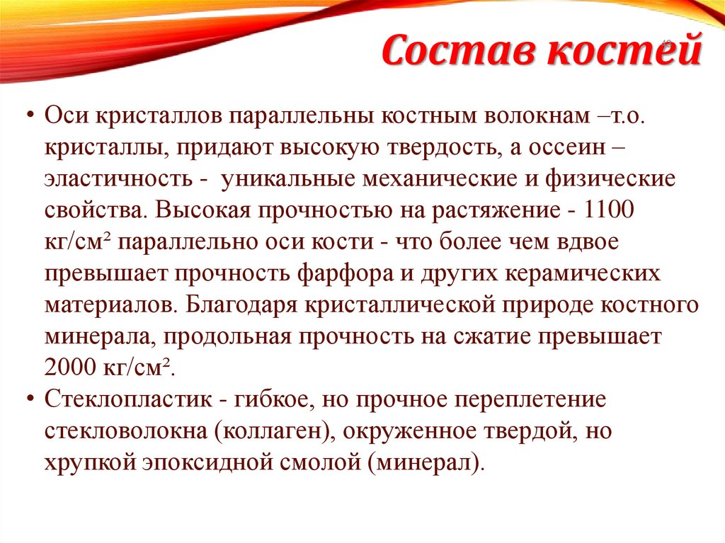 Состав костей