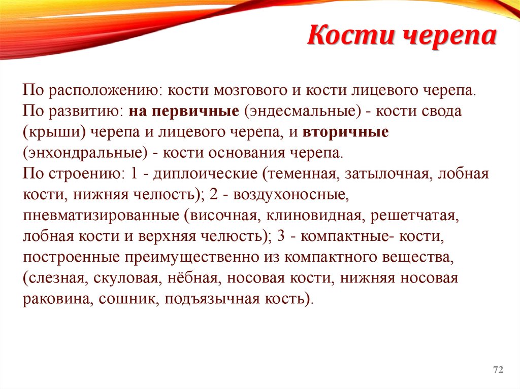 Кости черепа