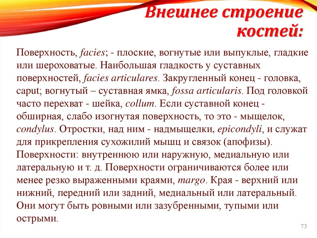 Внешнее строение костей: