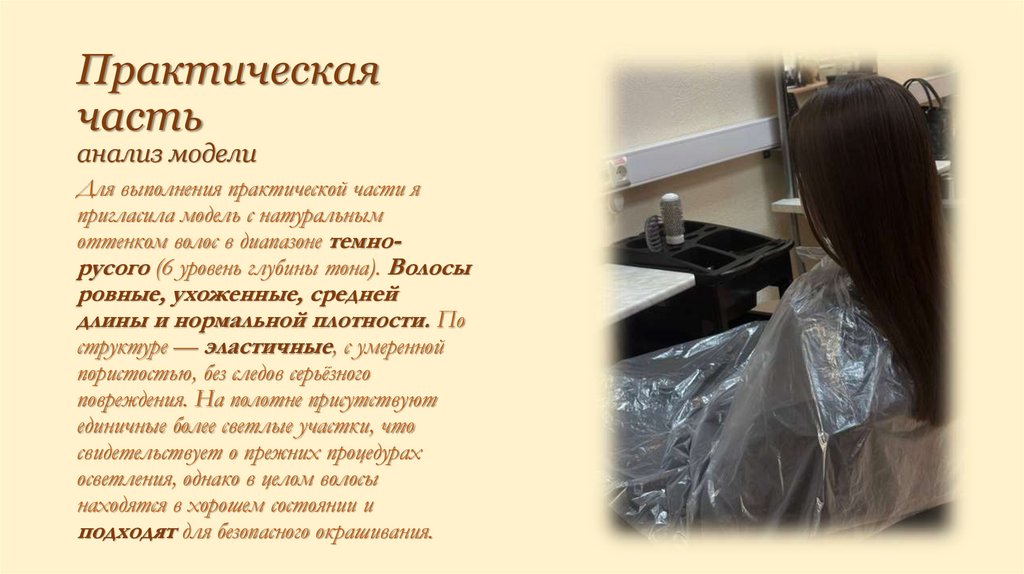 Практическая часть анализ модели