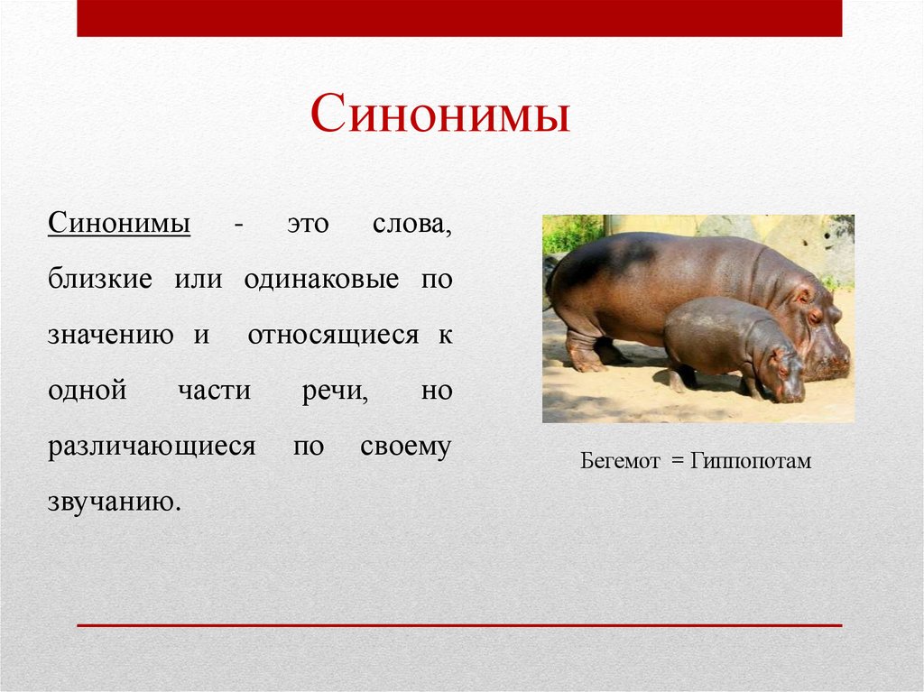 Синонимы