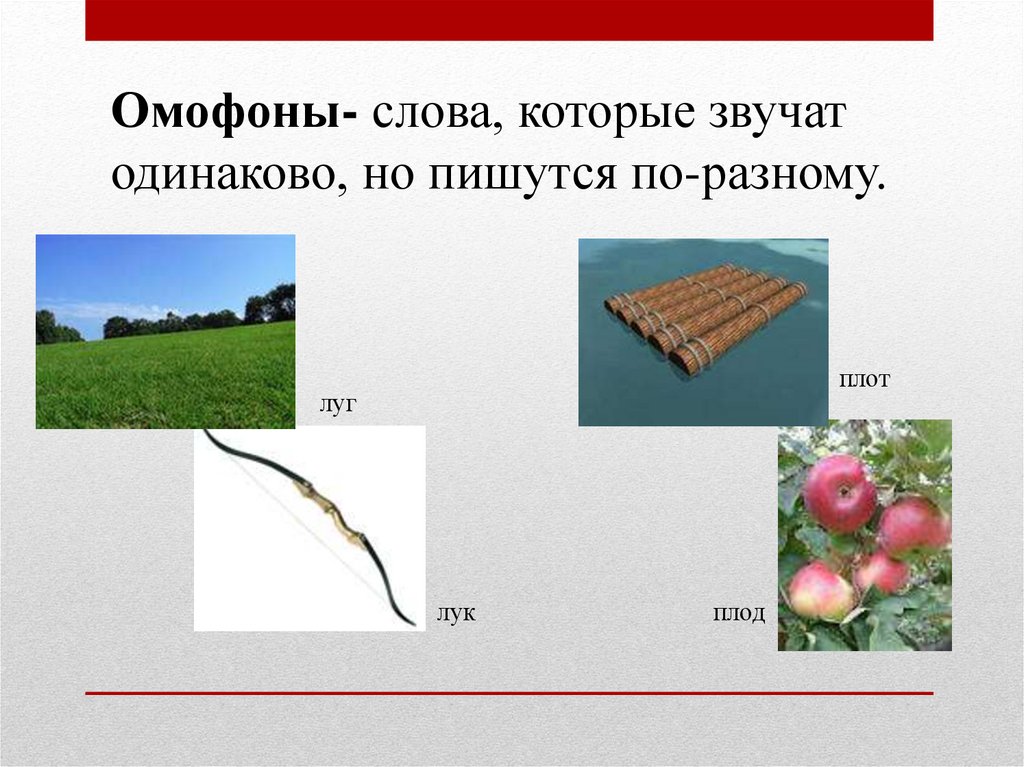 Омофоны- слова, которые звучат одинаково, но пишутся по-разному.