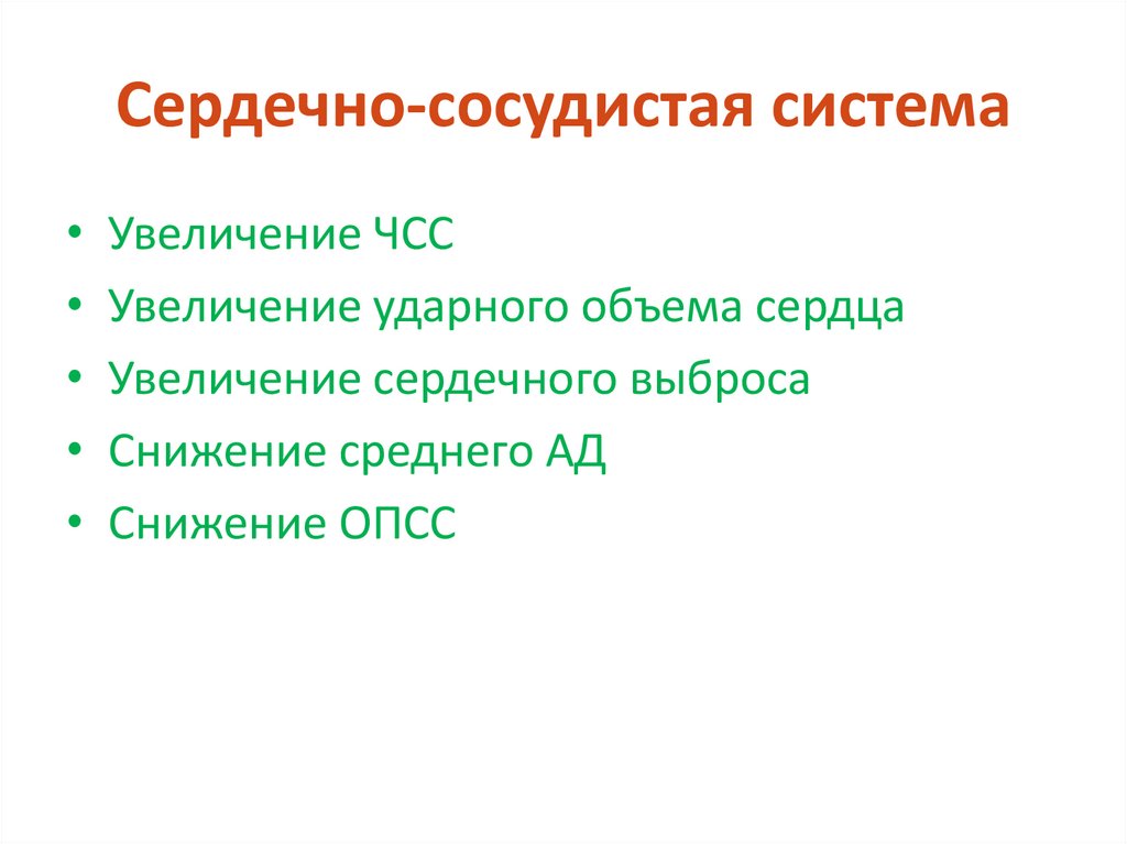 Сердечно-сосудистая система