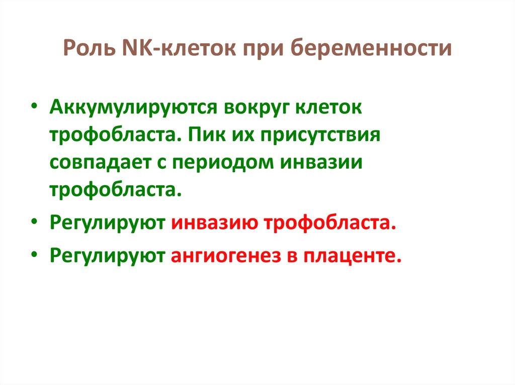 Роль NK-клеток при беременности