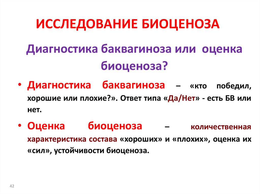 ИССЛЕДОВАНИЕ БИОЦЕНОЗА