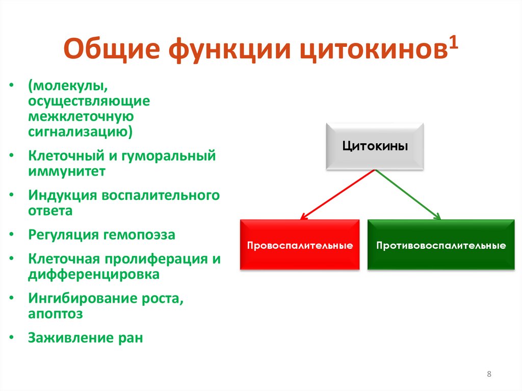 Общие функции цитокинов1