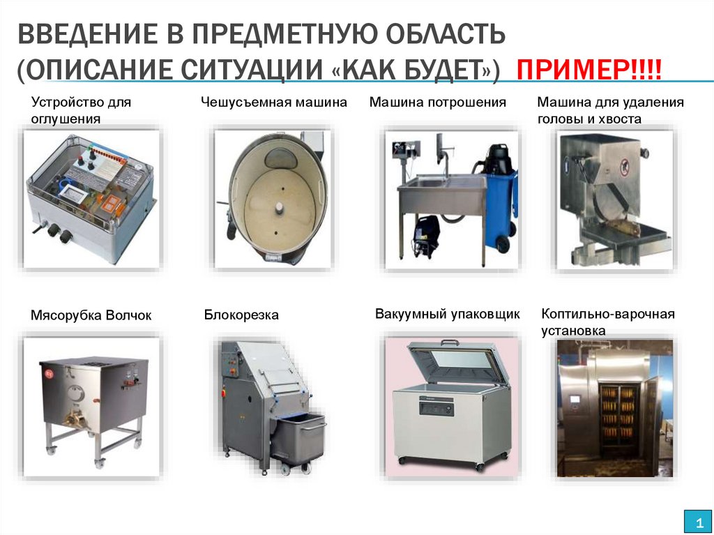 Введение в предметную область (описание ситуации «как будет») ПРИМЕР!!!!