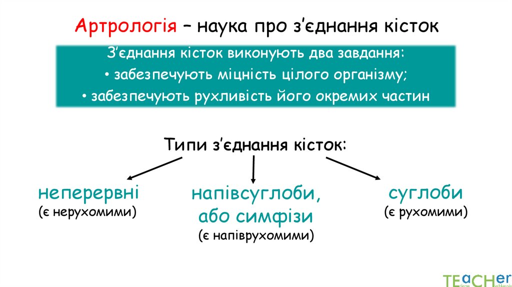 Артрологія – наука про з’єднання кісток