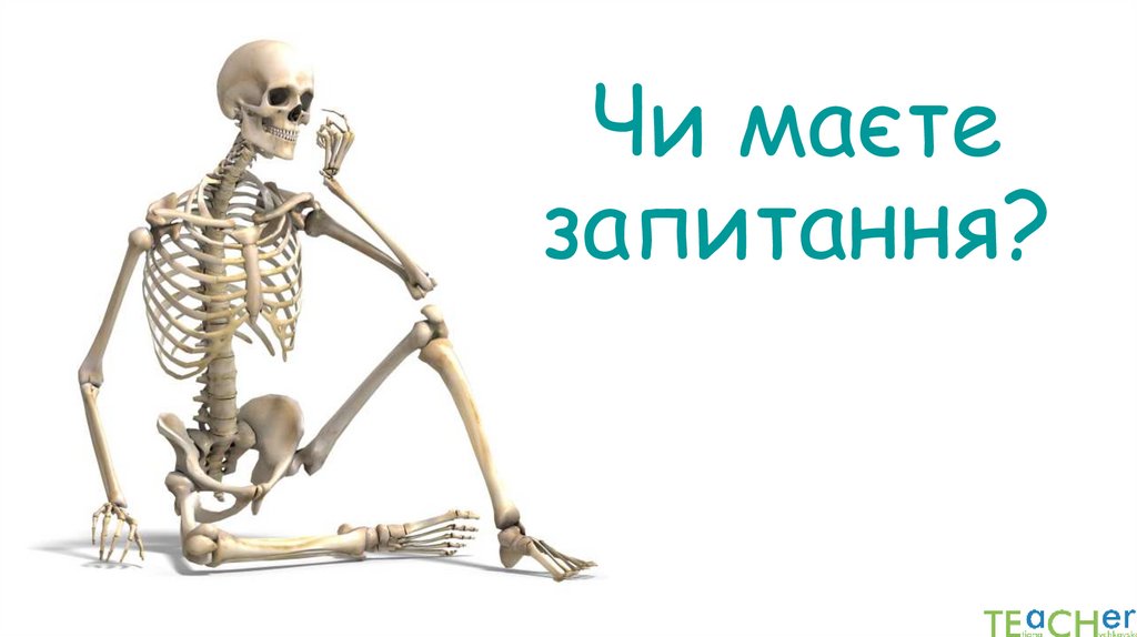 Чи маєте запитання?