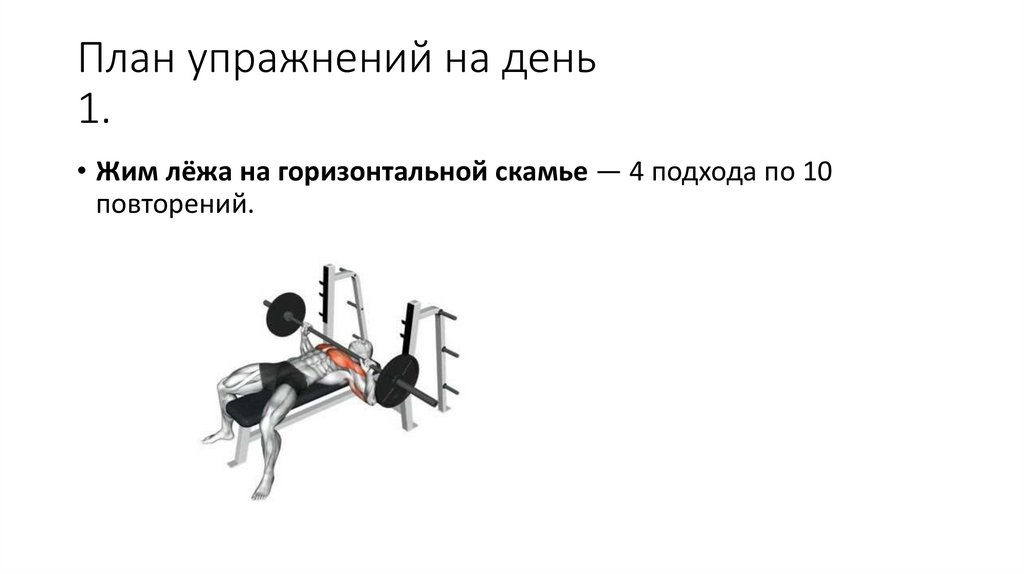 План упражнений на день 1.