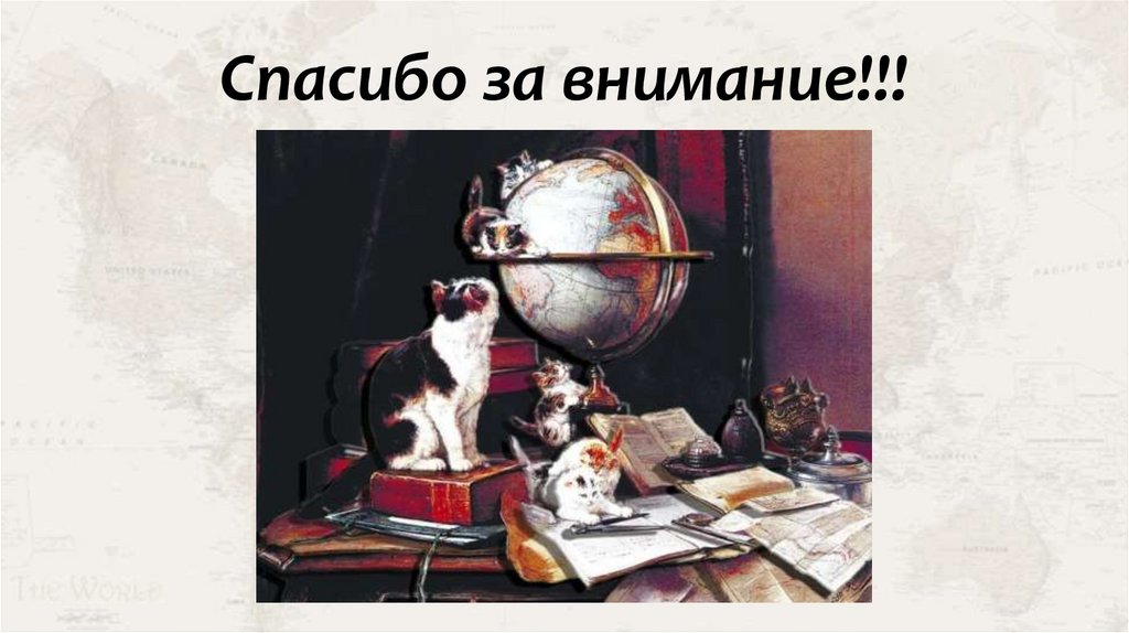 Спасибо за внимание!!!