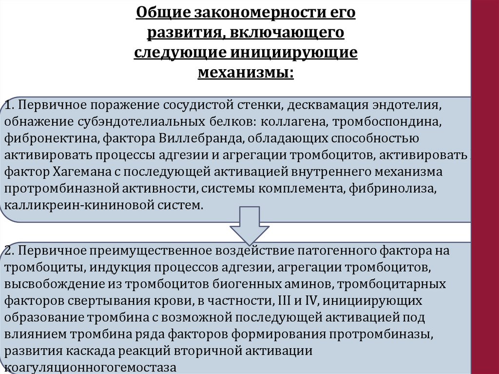 Общие закономерности его развития, включающего следующие инициирующие механизмы: