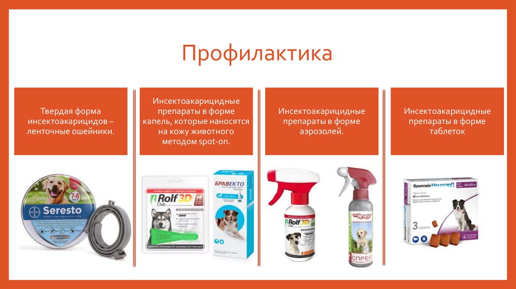 Профилактика