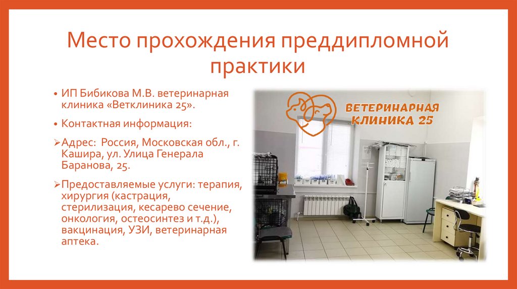 Место прохождения преддипломной практики