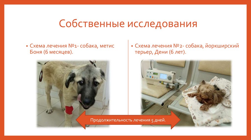 Собственные исследования