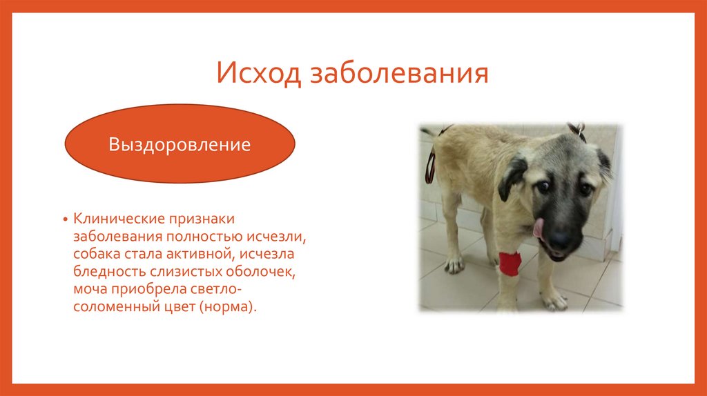 Исход заболевания