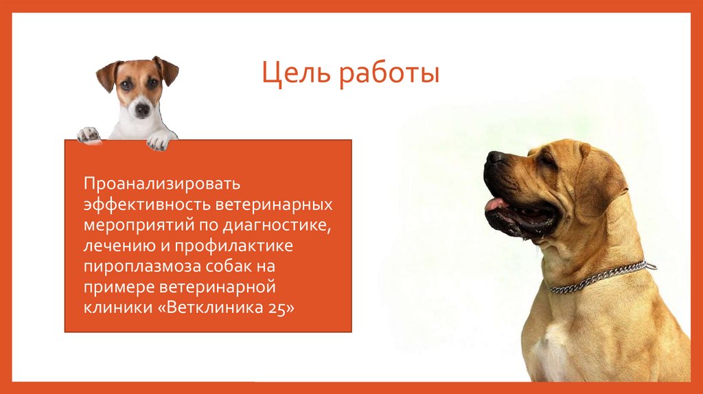 Цель работы