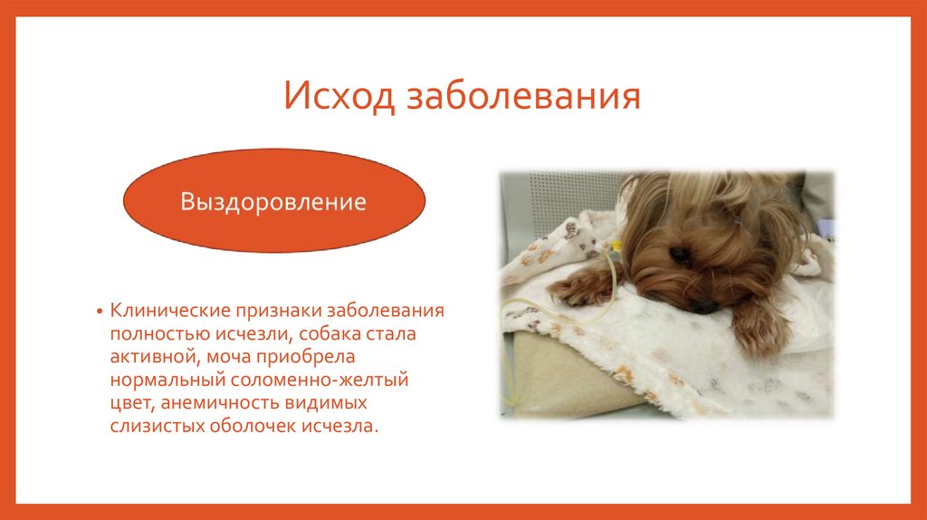 Исход заболевания